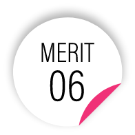 MERIT 06